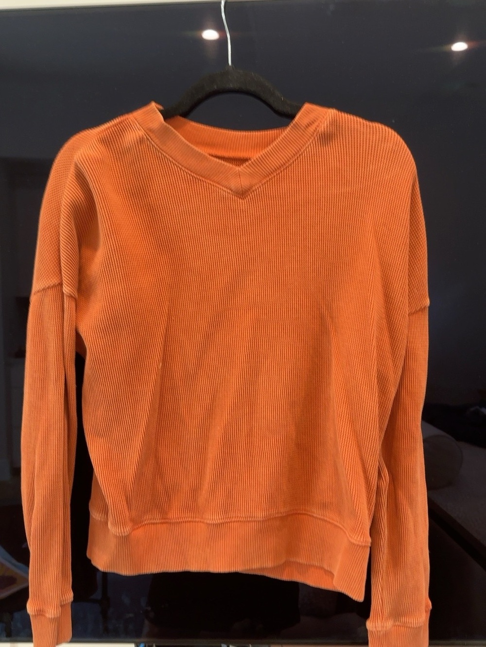 Madewell Women's Burnt Orange V-Neck Ribbed Sweater